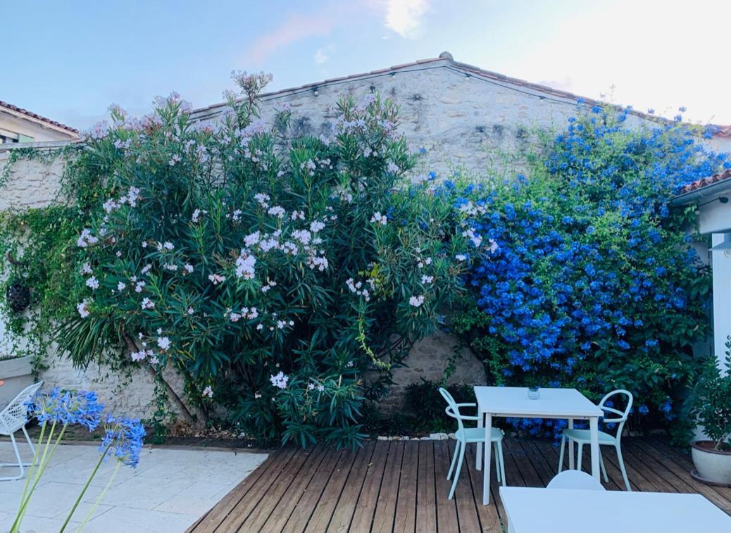 Maison Face Au Soleil Le Bois-Plage-en-Ré Exteriör bild